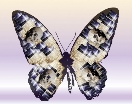 Image 14-10-2025 at 10.10 pm