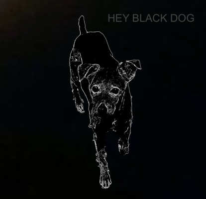 08 Hey Black Dog